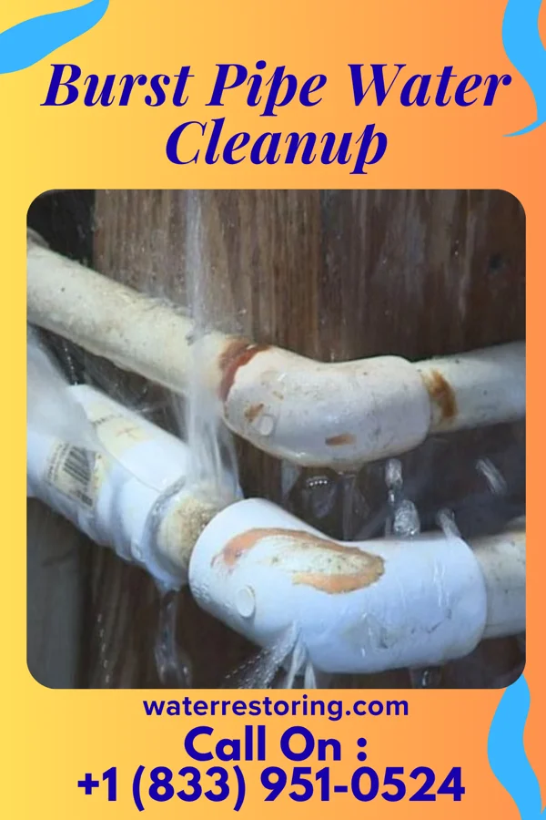 Burst Pipe Water Cleanup in Bayou Gauche, LA