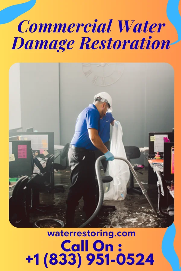 Commercial Water Damage Restoration in Bayou Gauche, LA