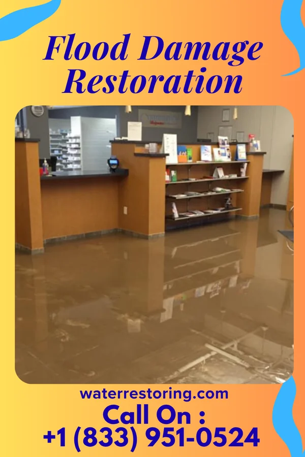 Flood Damage Restoration in Bayou Gauche, LA