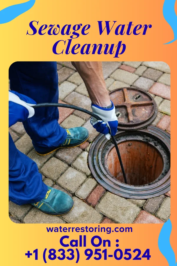 Sewage Water Cleanup in Bayou Gauche, LA