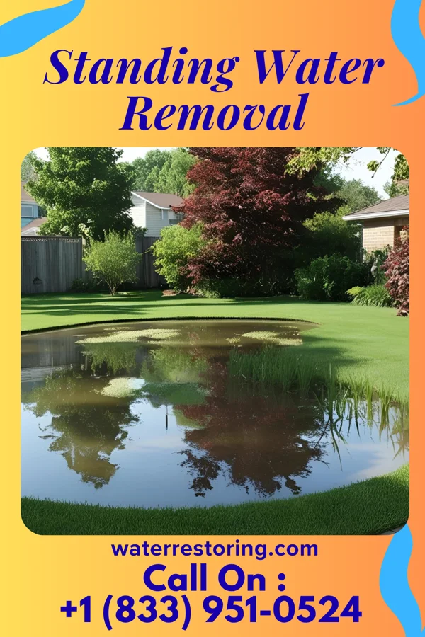 Standing Water Removal in Bayou Gauche, LA